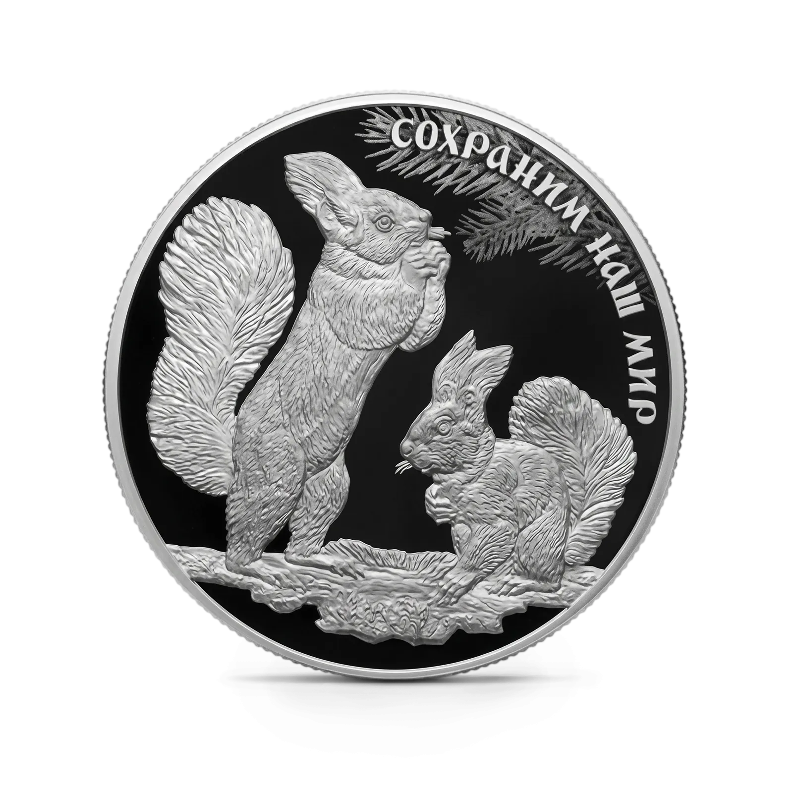 Монета "Белка обыкновенная", СПМД, 2023 г., Серебро, 155,5 гр., проба 925, РОССИЯ