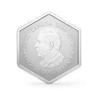 Монета "Снежинка", 2024 г., Серебро, 32,41 гр., проба 9999, КАНАДА