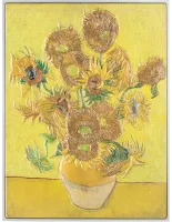 Монета «Подсолнухи», 2024 г., Серебро, 77,75 гр., проба 999, ЧАД