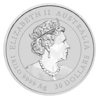 Монета "Год Крысы", 2020 г., Серебро, 1 000 гр., проба 999.9, АВСТРАЛИЯ